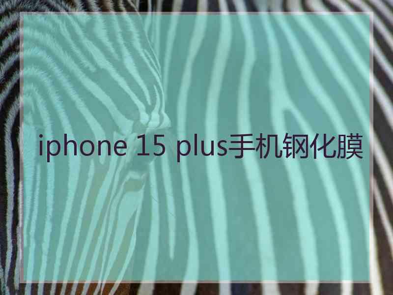 iphone 15 plus手机钢化膜