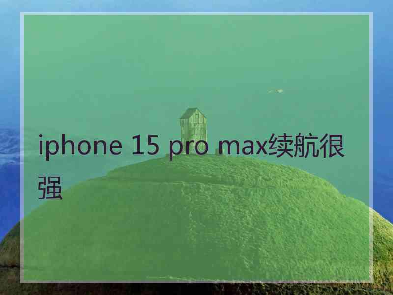 iphone 15 pro max续航很强