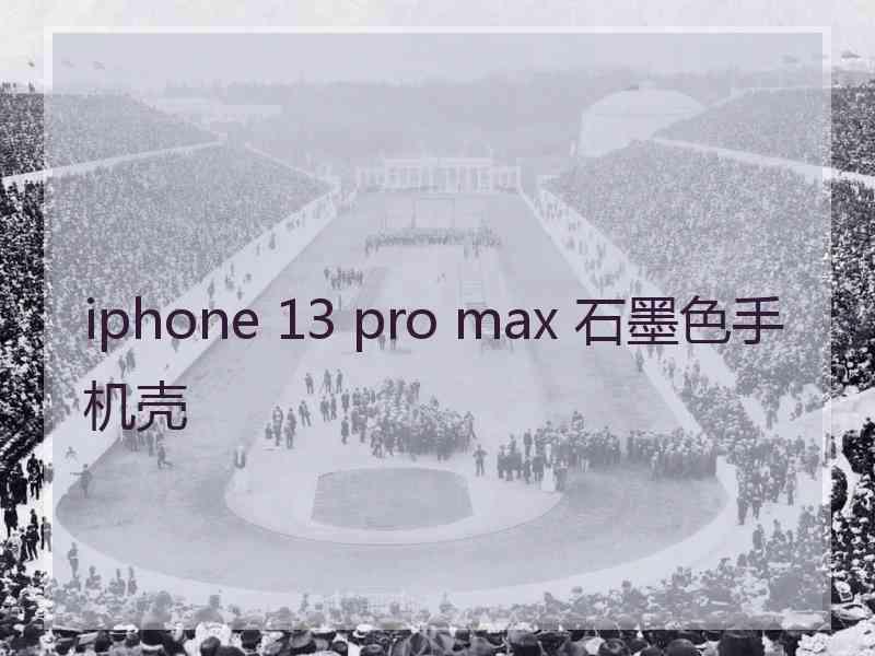 iphone 13 pro max 石墨色手机壳