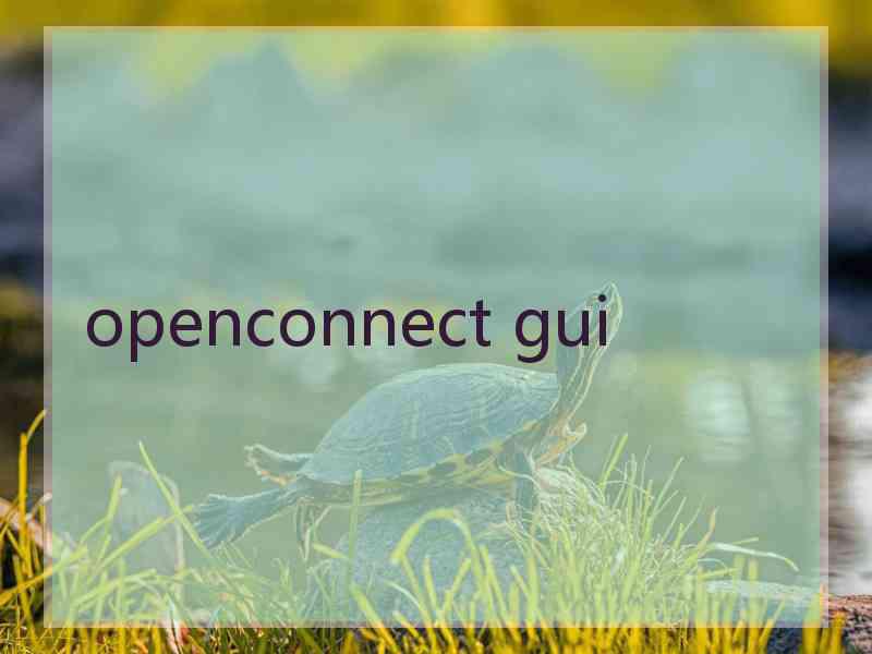 openconnect gui