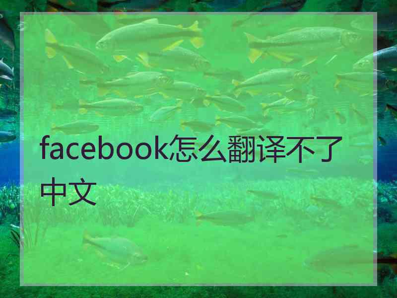 facebook怎么翻译不了中文