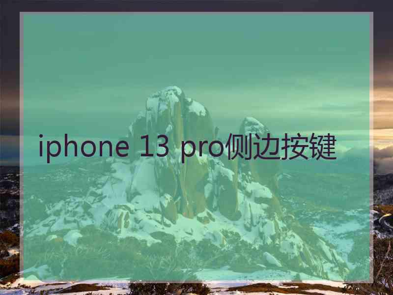 iphone 13 pro侧边按键