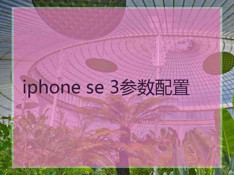 iphone se 3参数配置