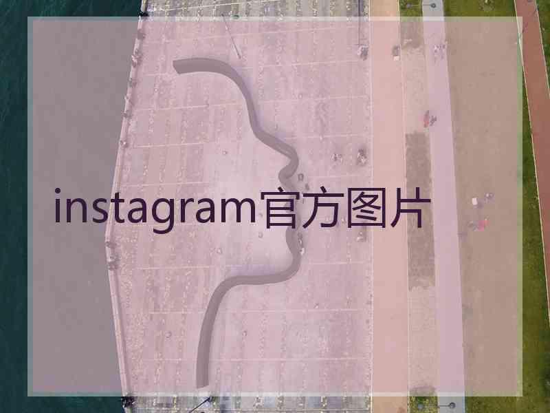 instagram官方图片