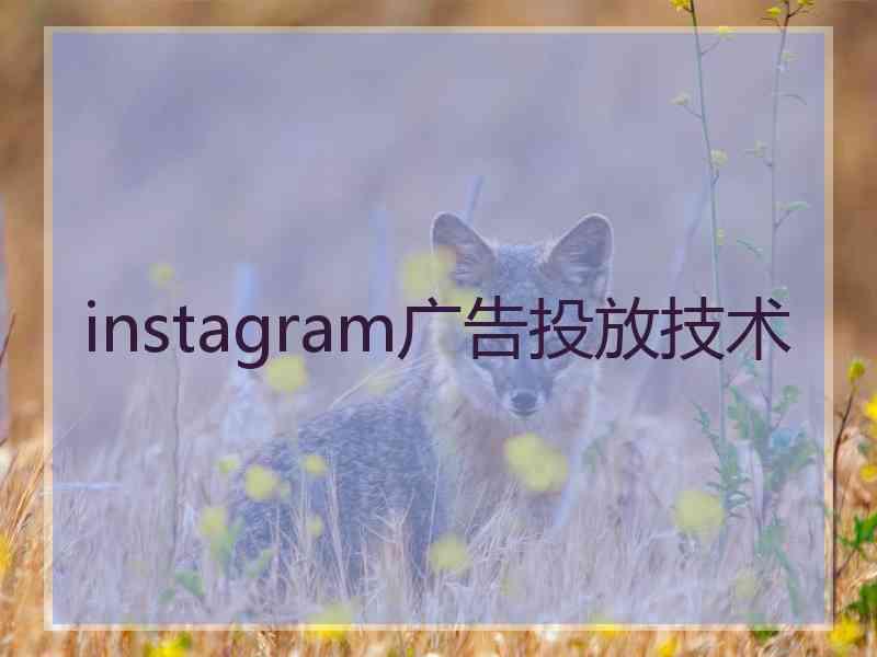 instagram广告投放技术