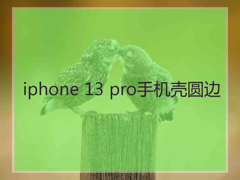 iphone 13 pro手机壳圆边