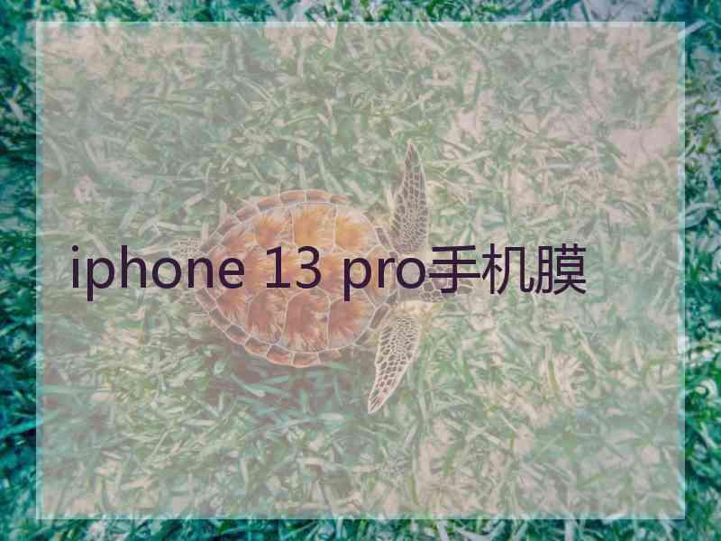 iphone 13 pro手机膜