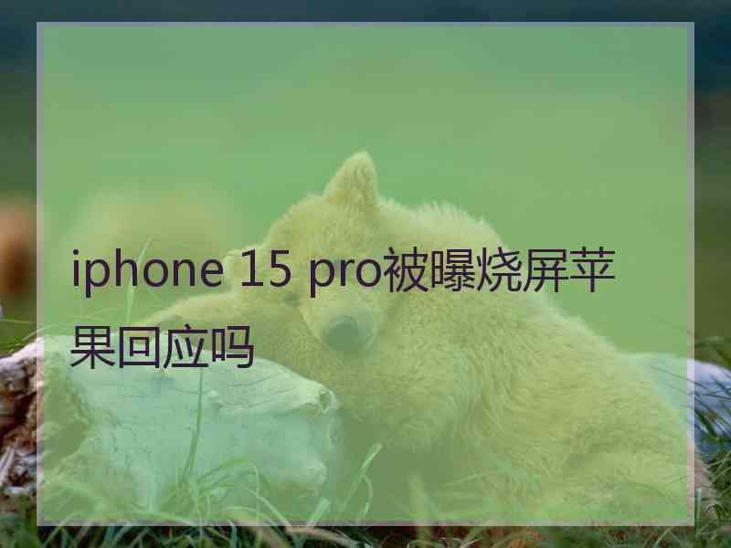 iphone 15 pro被曝烧屏苹果回应吗