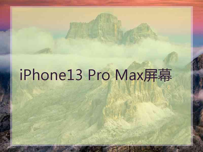 iPhone13 Pro Max屏幕