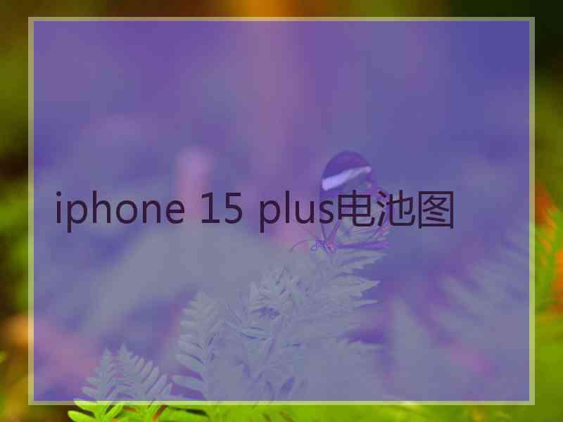 iphone 15 plus电池图