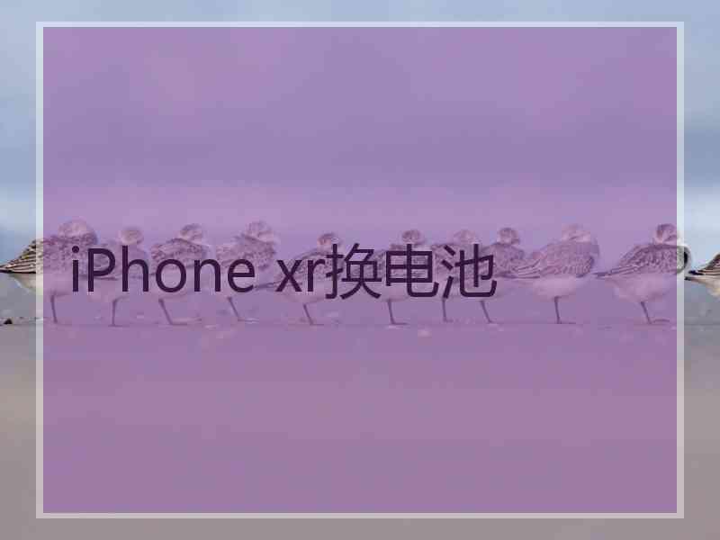 iPhone xr换电池