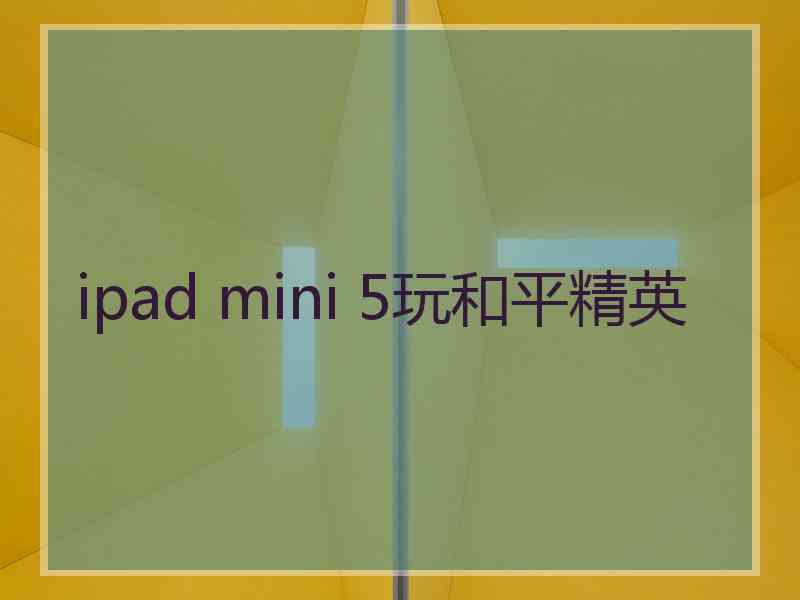 ipad mini 5玩和平精英