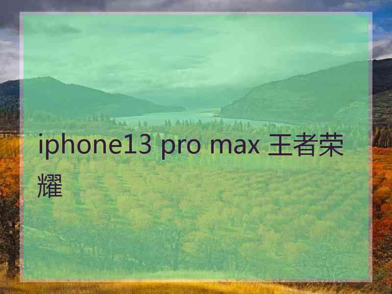 iphone13 pro max 王者荣耀