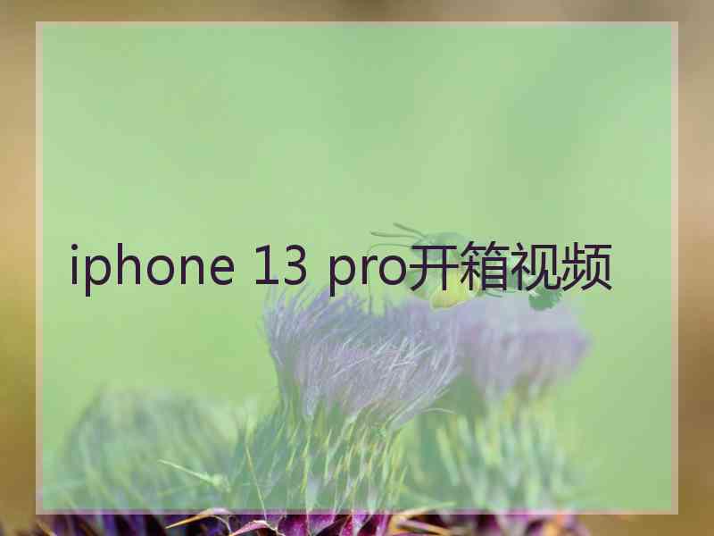 iphone 13 pro开箱视频