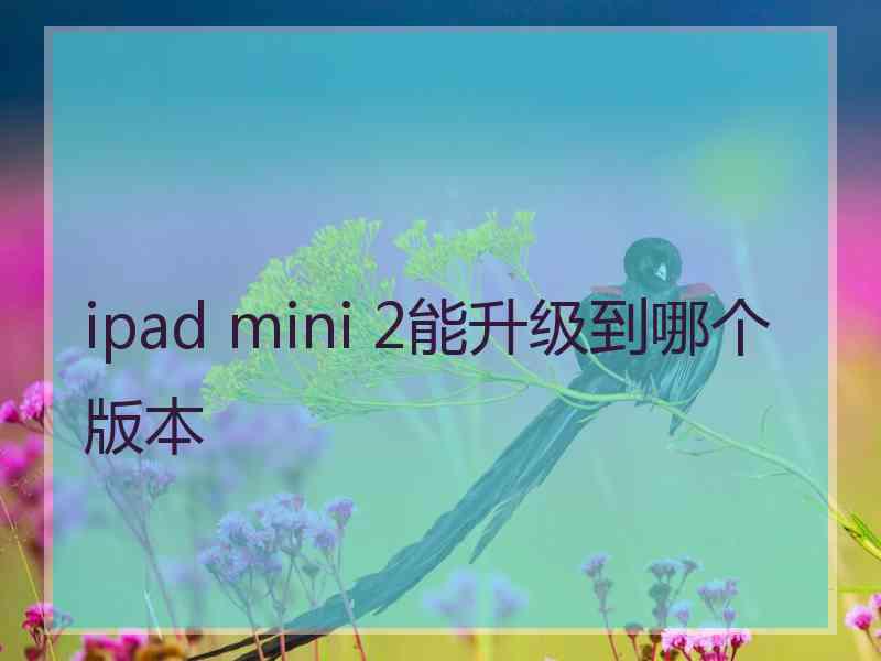 ipad mini 2能升级到哪个版本