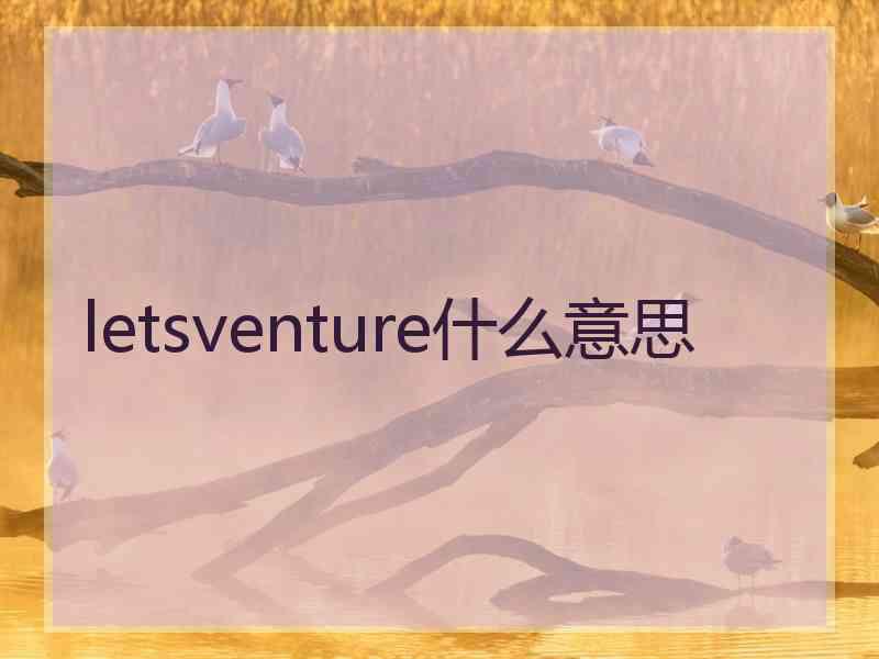 letsventure什么意思