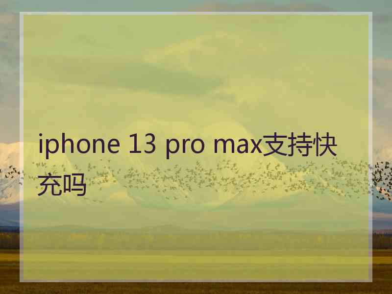 iphone 13 pro max支持快充吗