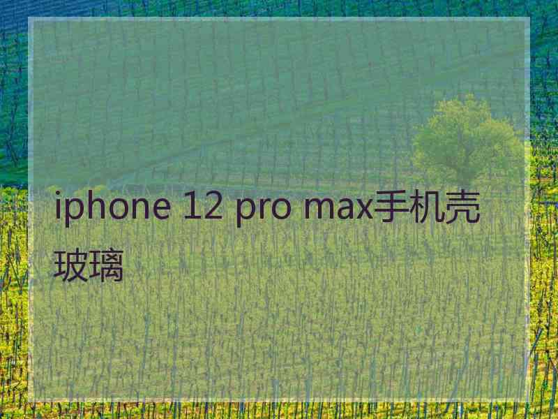 iphone 12 pro max手机壳玻璃