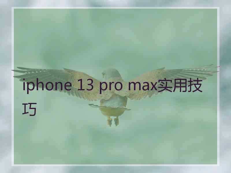 iphone 13 pro max实用技巧