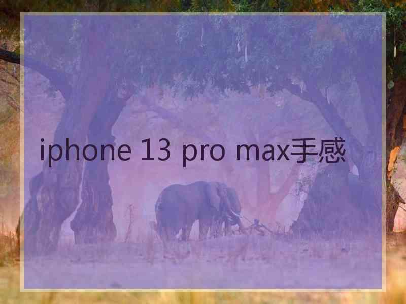 iphone 13 pro max手感