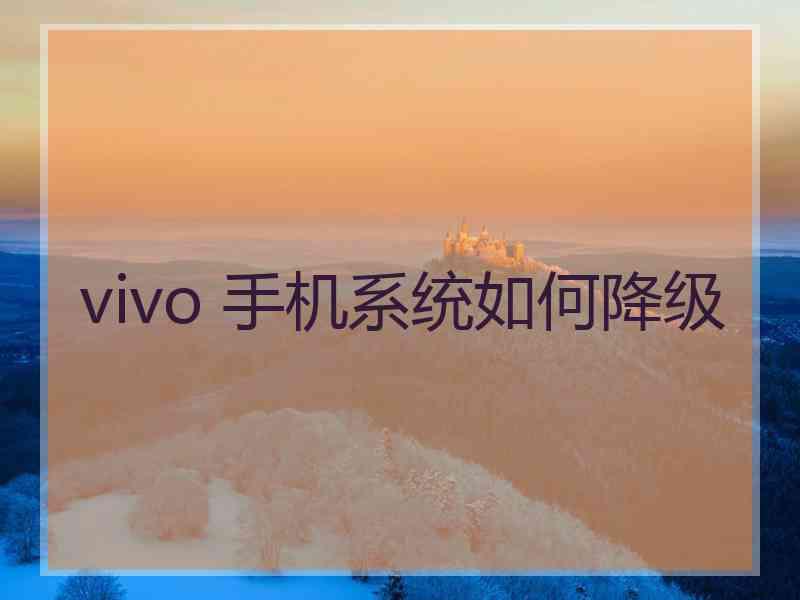 vivo 手机系统如何降级