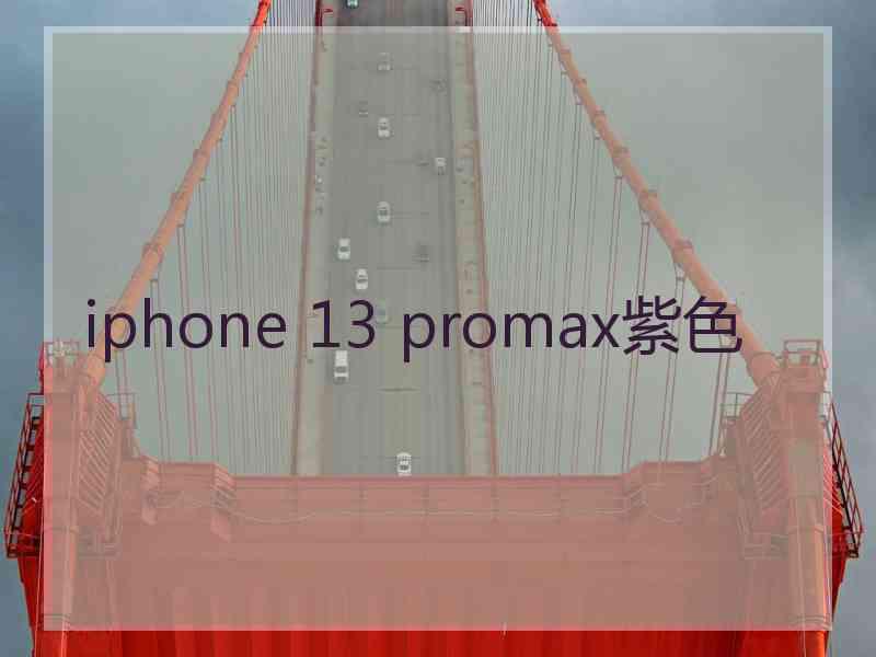 iphone 13 promax紫色