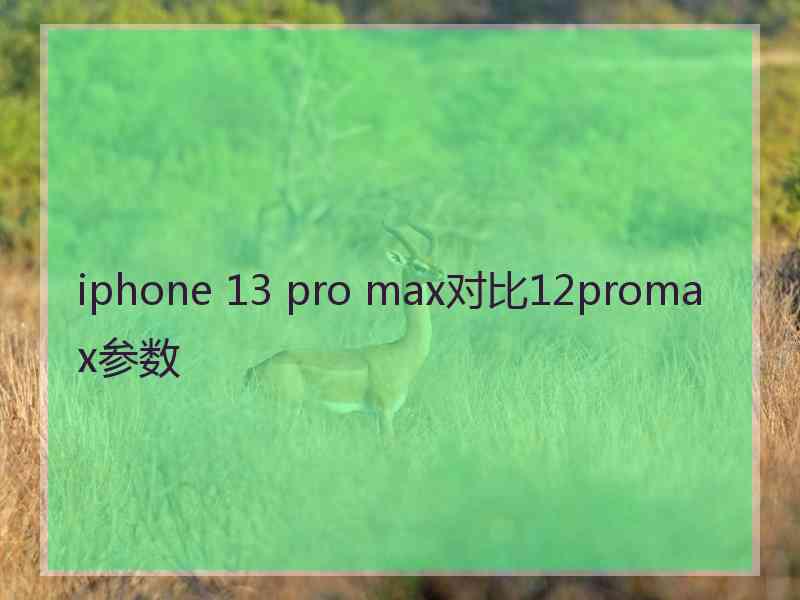 iphone 13 pro max对比12promax参数