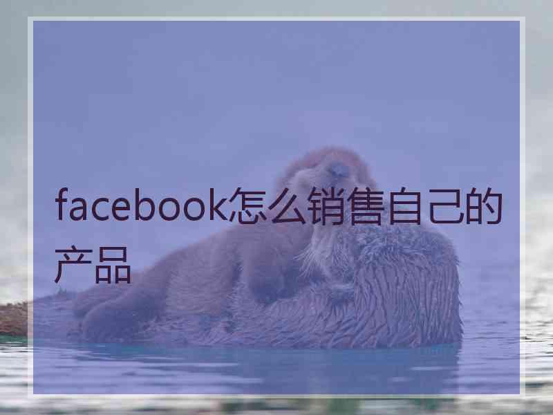 facebook怎么销售自己的产品