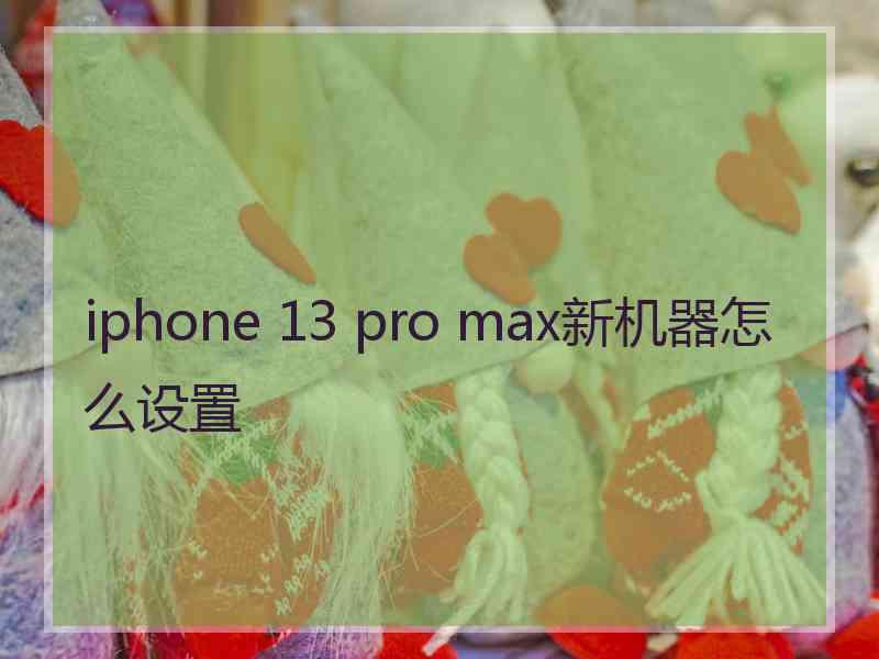 iphone 13 pro max新机器怎么设置