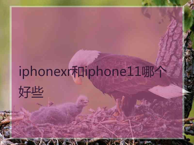 iphonexr和iphone11哪个好些