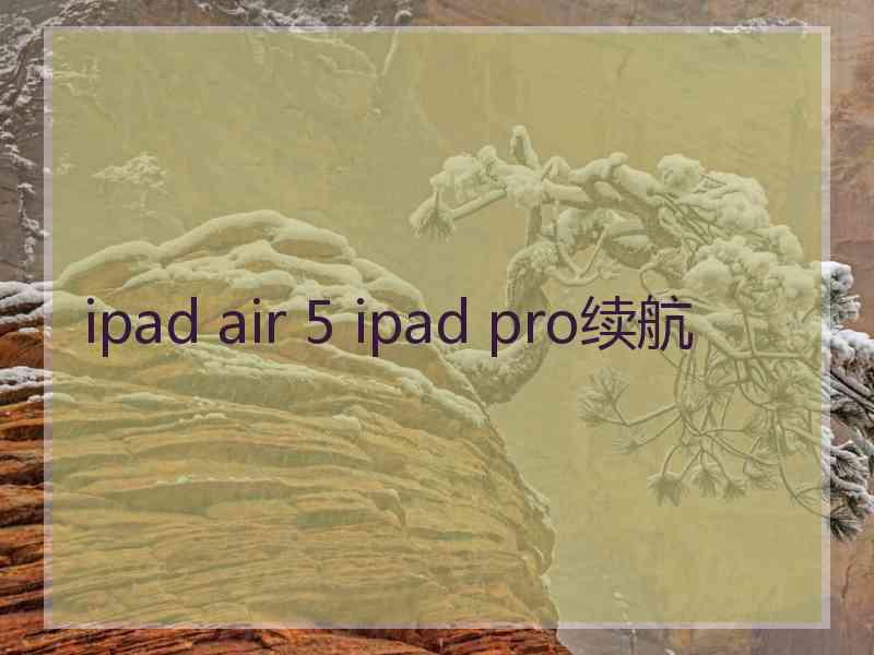 ipad air 5 ipad pro续航