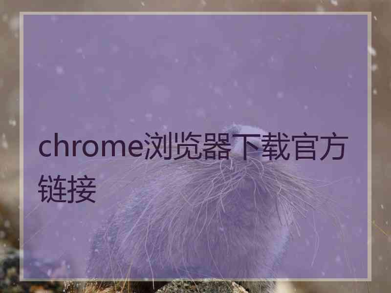 chrome浏览器下载官方链接