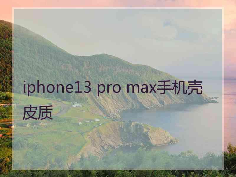 iphone13 pro max手机壳皮质