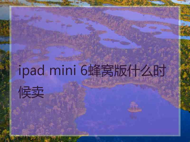 ipad mini 6蜂窝版什么时候卖