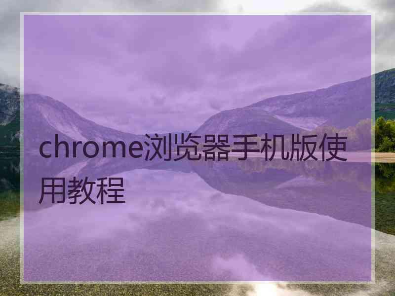 chrome浏览器手机版使用教程