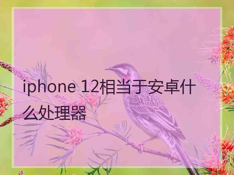 iphone 12相当于安卓什么处理器