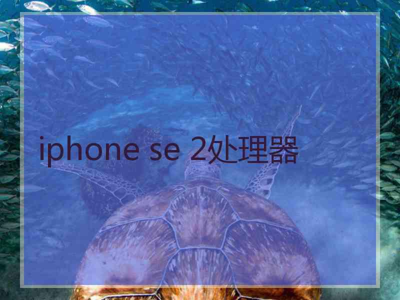 iphone se 2处理器