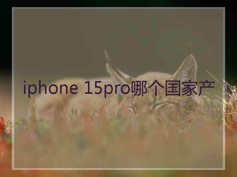 iphone 15pro哪个国家产