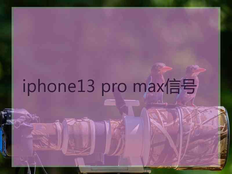 iphone13 pro max信号