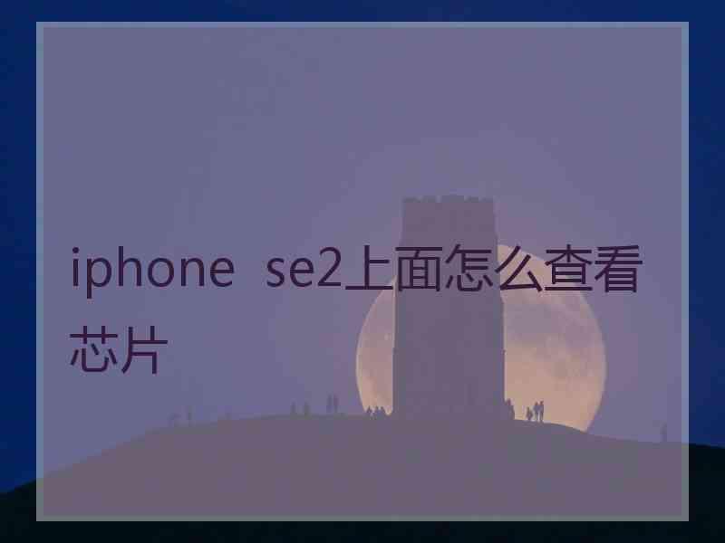 iphone  se2上面怎么查看芯片