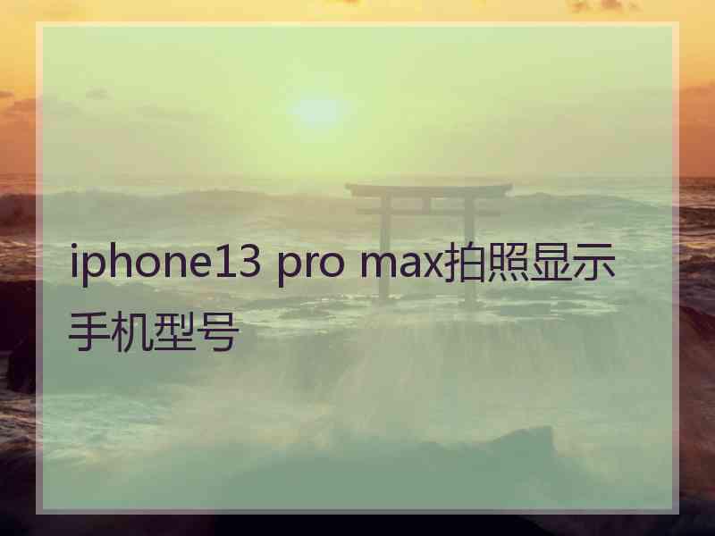 iphone13 pro max拍照显示手机型号