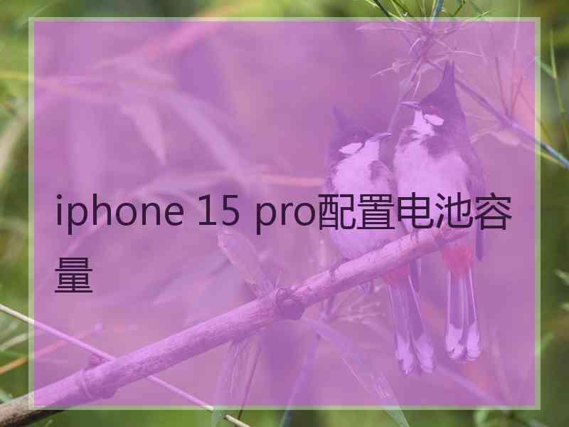 iphone 15 pro配置电池容量