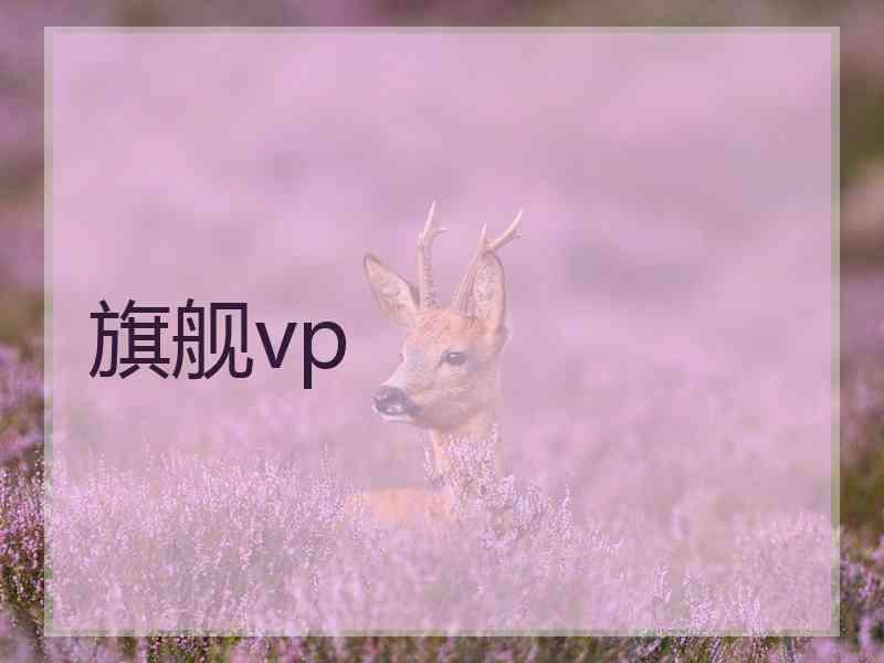 旗舰vp