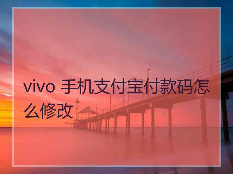 vivo 手机支付宝付款码怎么修改