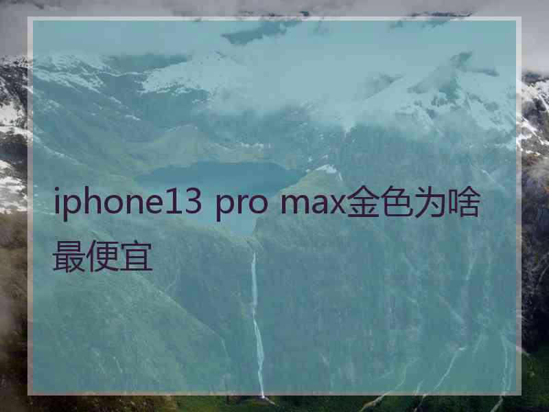 iphone13 pro max金色为啥最便宜