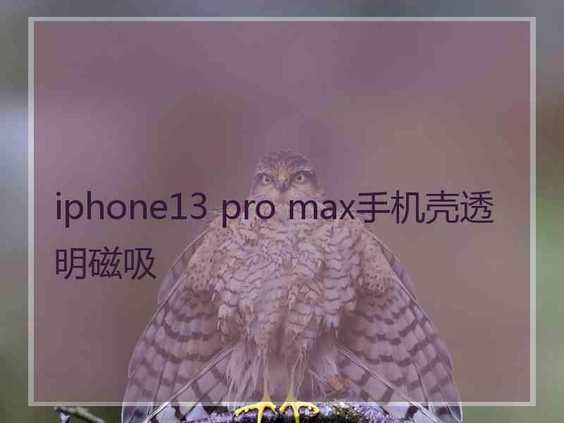 iphone13 pro max手机壳透明磁吸