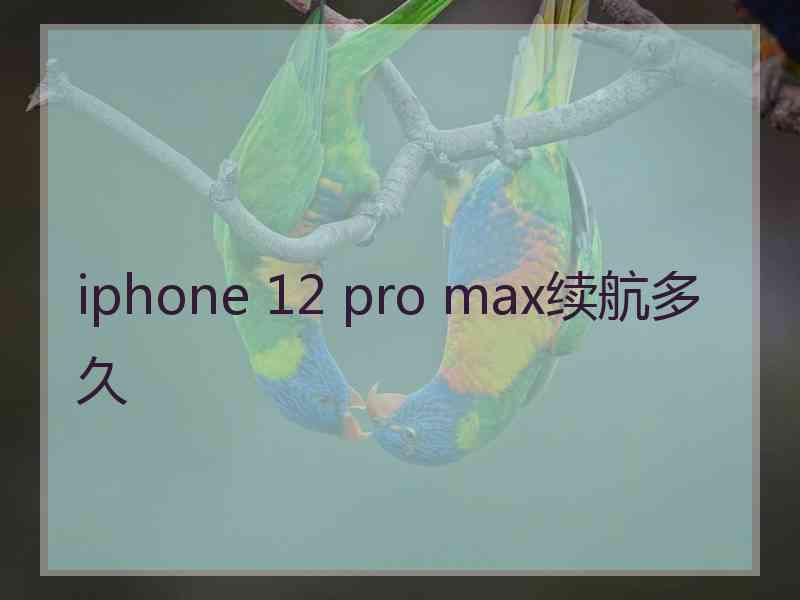 iphone 12 pro max续航多久