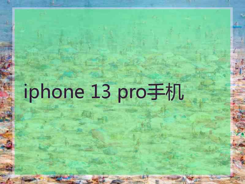 iphone 13 pro手机