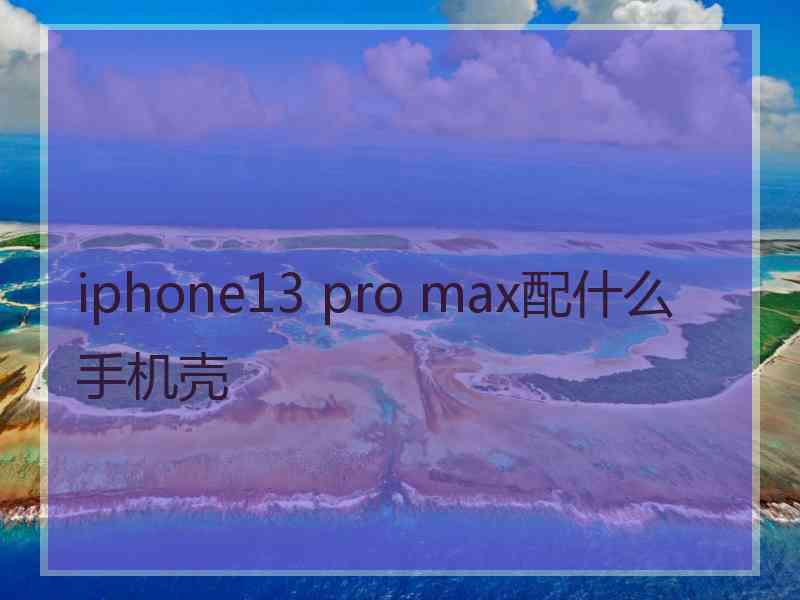 iphone13 pro max配什么手机壳