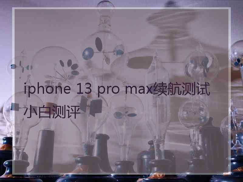 iphone 13 pro max续航测试小白测评